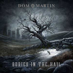 Dom Martin - Buried In The Hail  LP LP